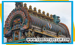 thondai nadu divya desam tour packages from delhi